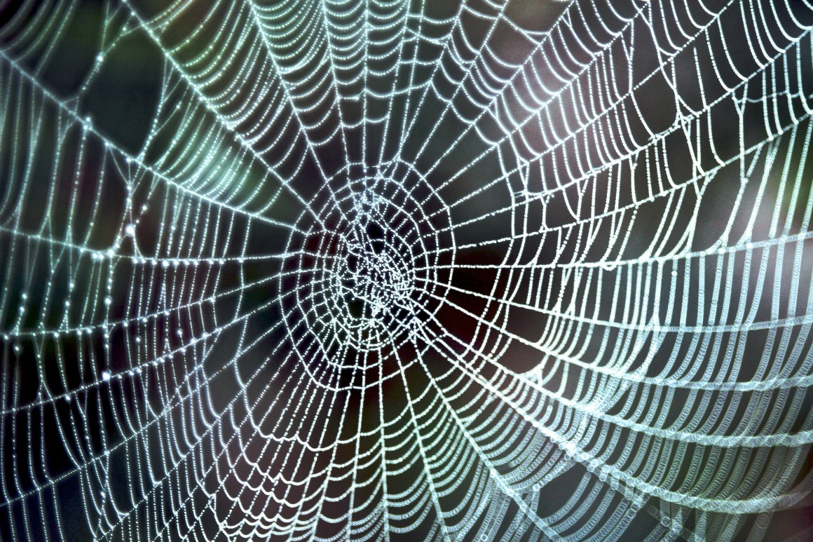 Global Weirding and Deep Adaptation