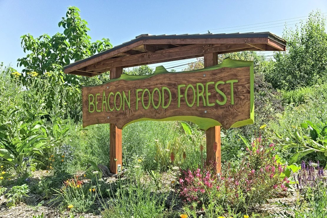 Volunteer — Beacon Food Forest